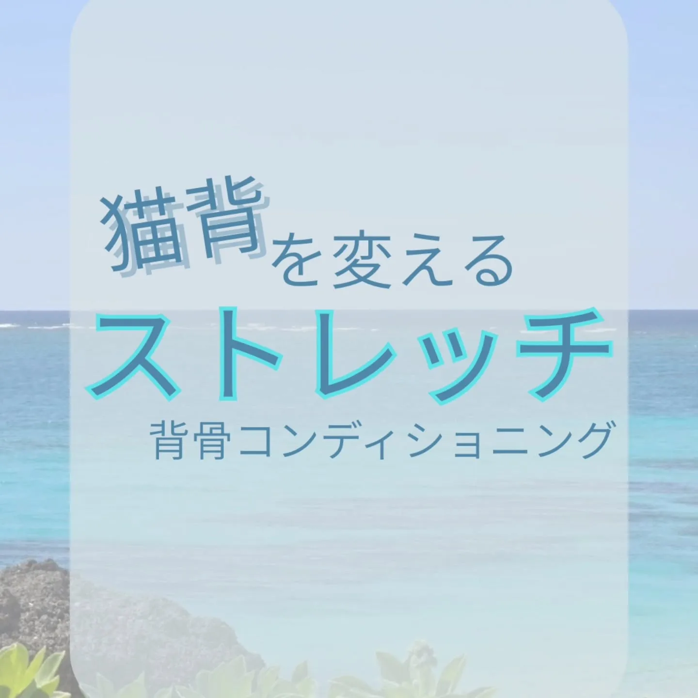 【背骨コンディショニング】