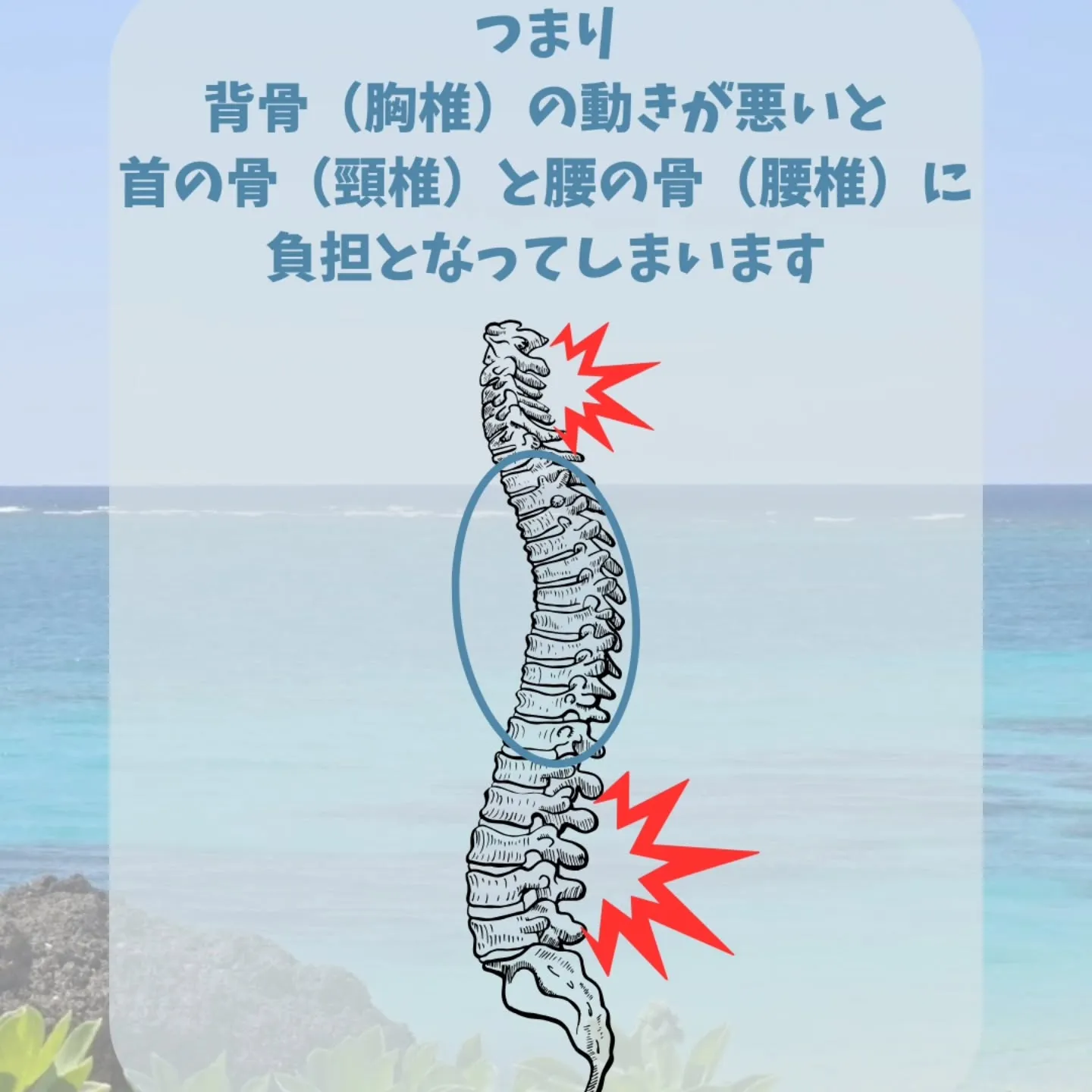 【背骨コンディショニング】