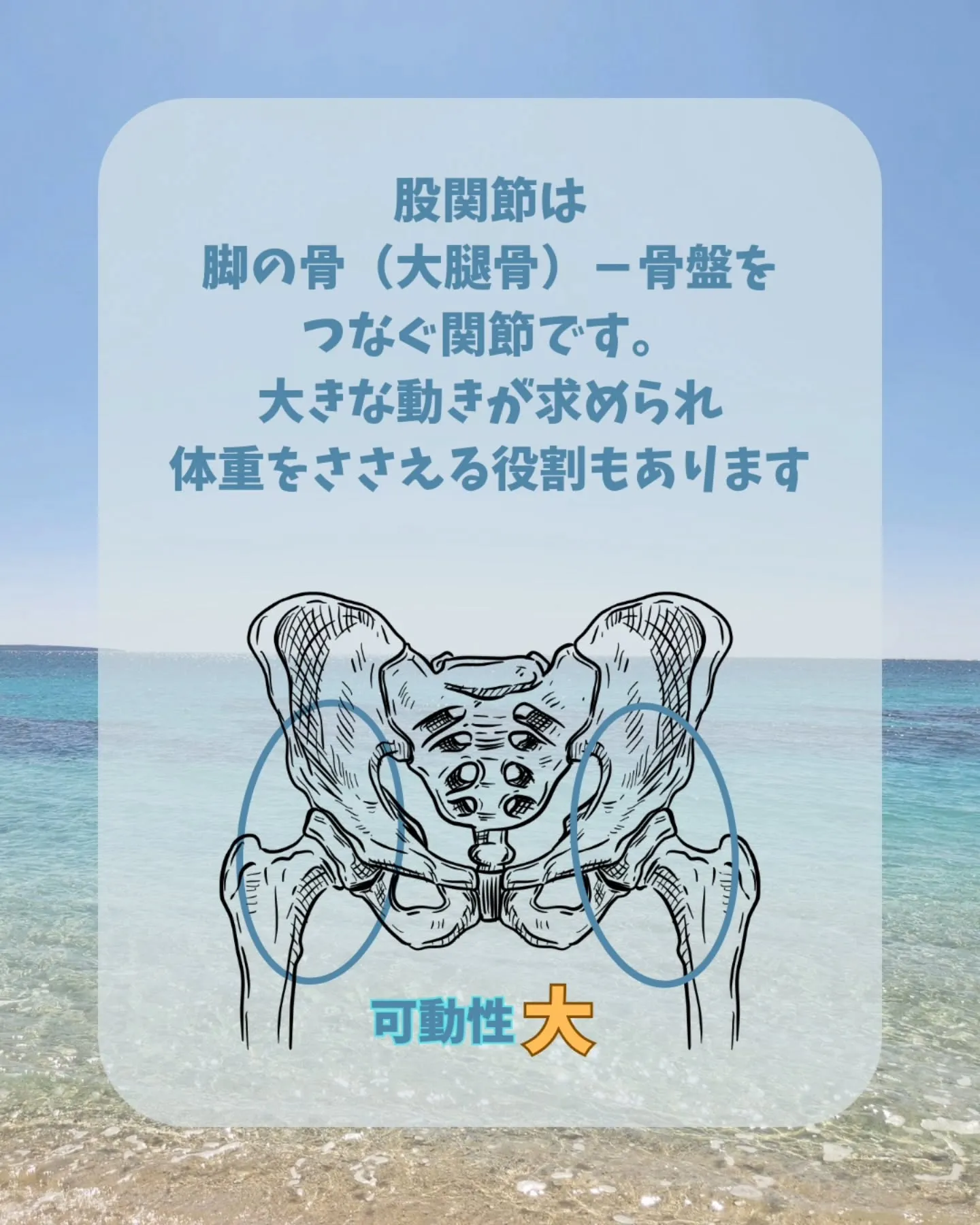 【股関節ストレッチ】