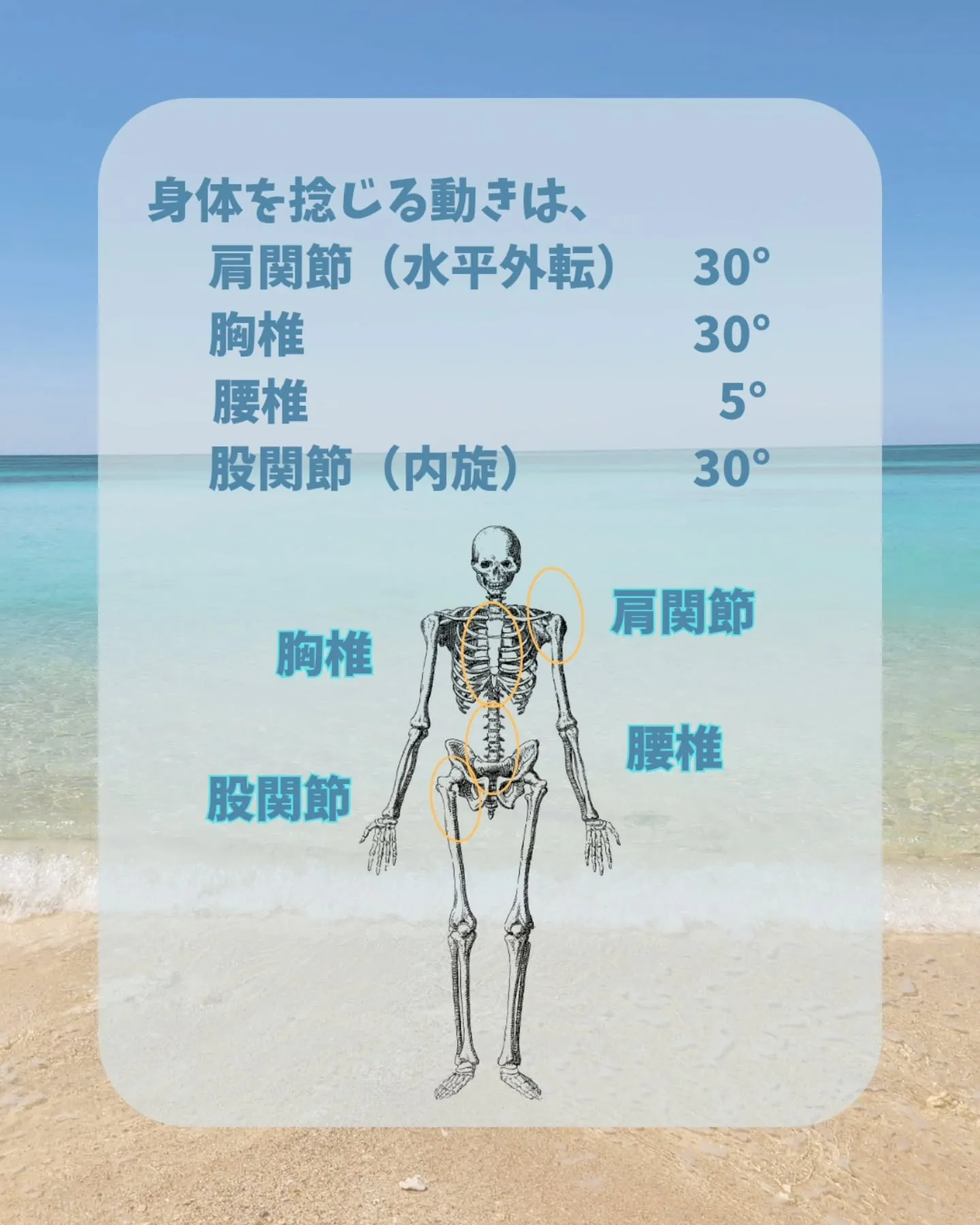 【連動性ストレッチ】猫背改善
