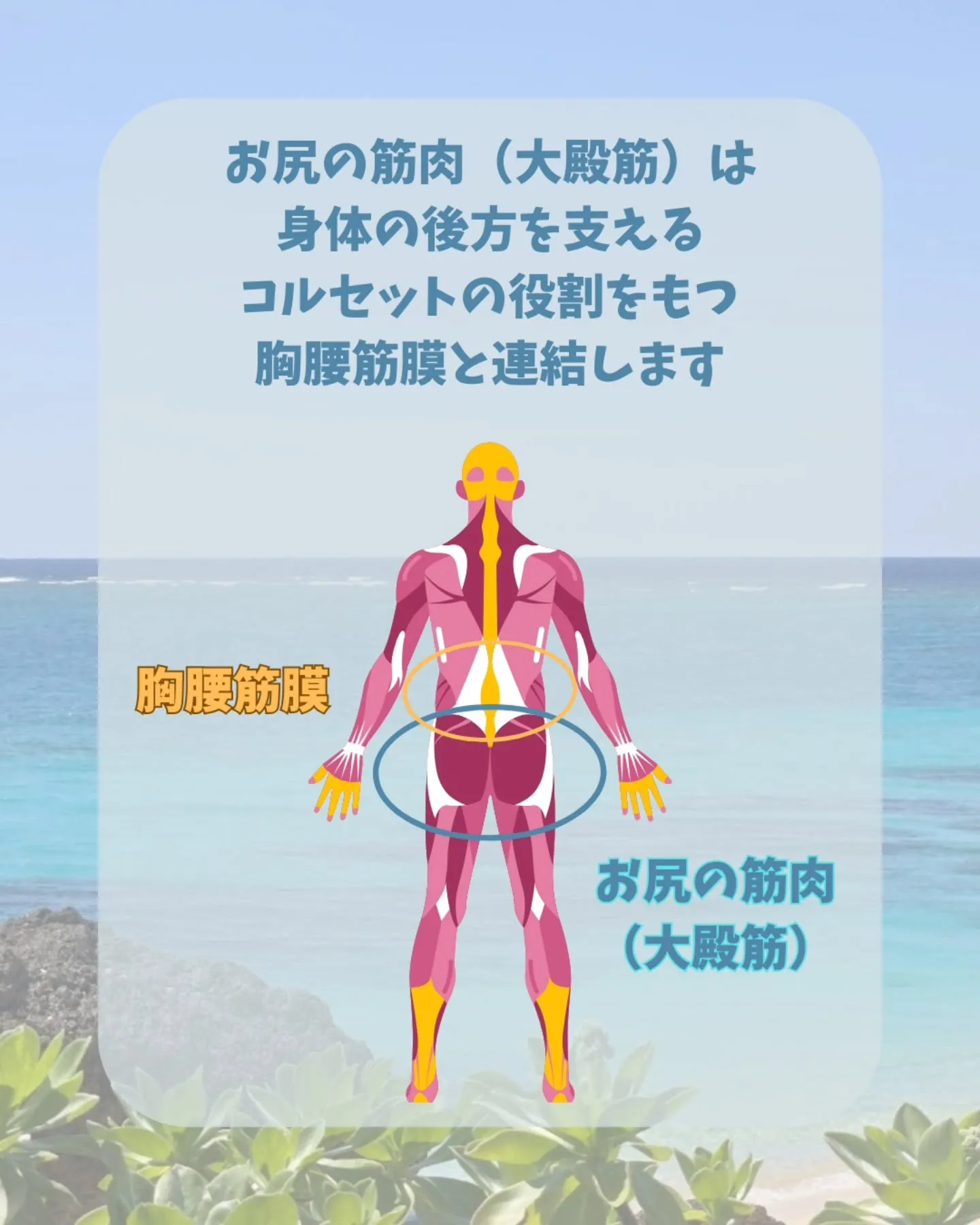 【腰痛の人にありがちな状態】お尻のかたさ