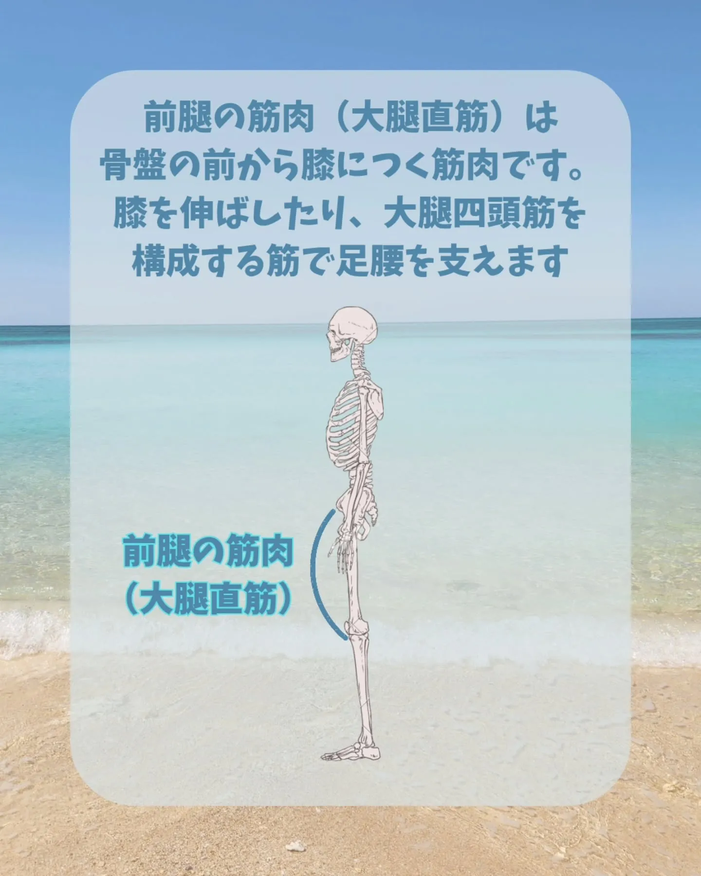 【腰痛の人にありがちな身体のかたさ-前腿-】