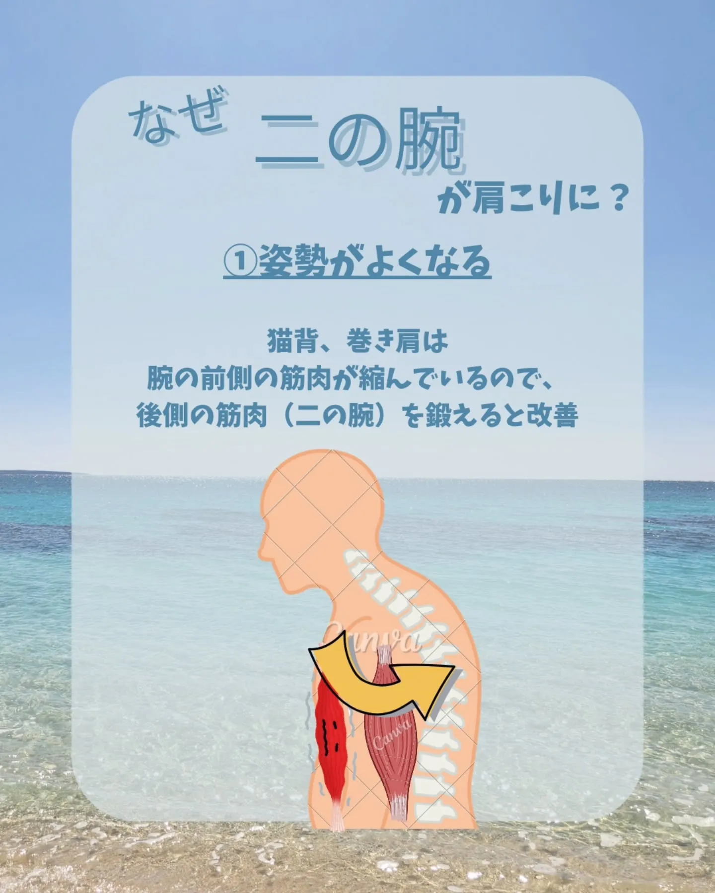 【肩こりのための姿勢改善-二の腕トレーニング-】